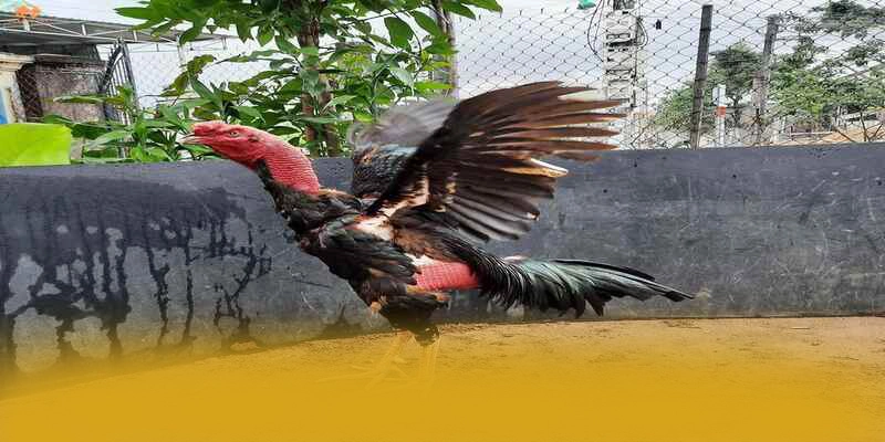 Cùng trải nghiệm BET88 - Cổng cá cược hàng đầu Việt Nam 2026 Cùng trải nghiệm BET88 - Cổng cá cược hàng đầu Việt Nam 2026