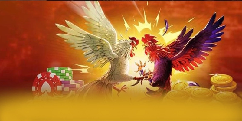 Điểm khác biệt của 8XBET trên thị trường